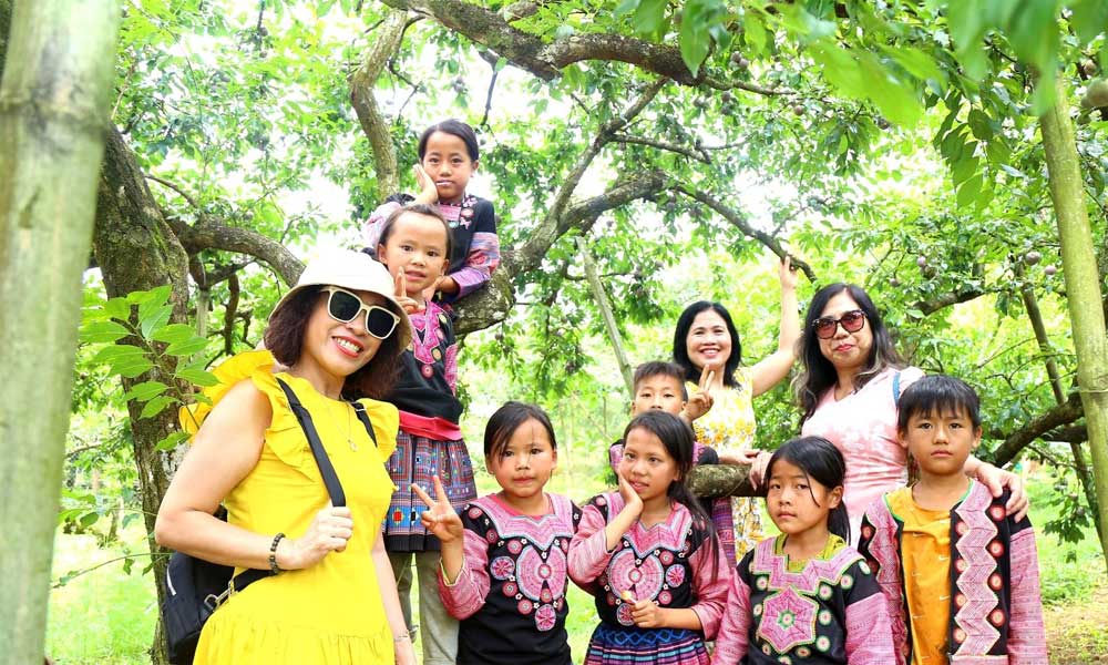 Trải nghiệm hái quả trên cao nguyên Mộc Châu